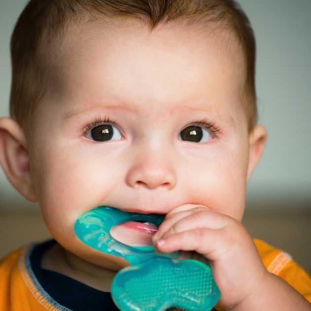 أعراض نمو الضروس عند الأطفال و4 طرق لتخفيف الألم 1 الضروس