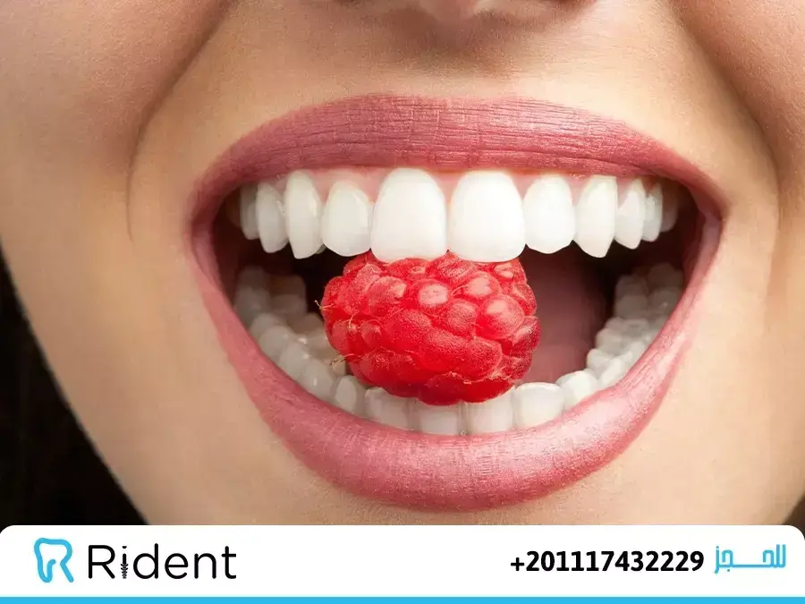 دور الأسنان السليمة في الأكل والمضغ 13 دور الأسنان السليمة في الأكل والمضغ